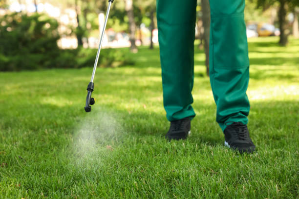 Best Pest Control for Restaurants  in Cedar Park, TX
