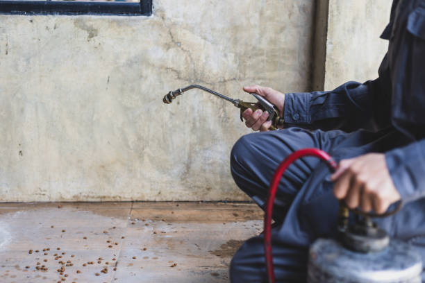 Best Mosquito Control Services  in Cedar Park, TX